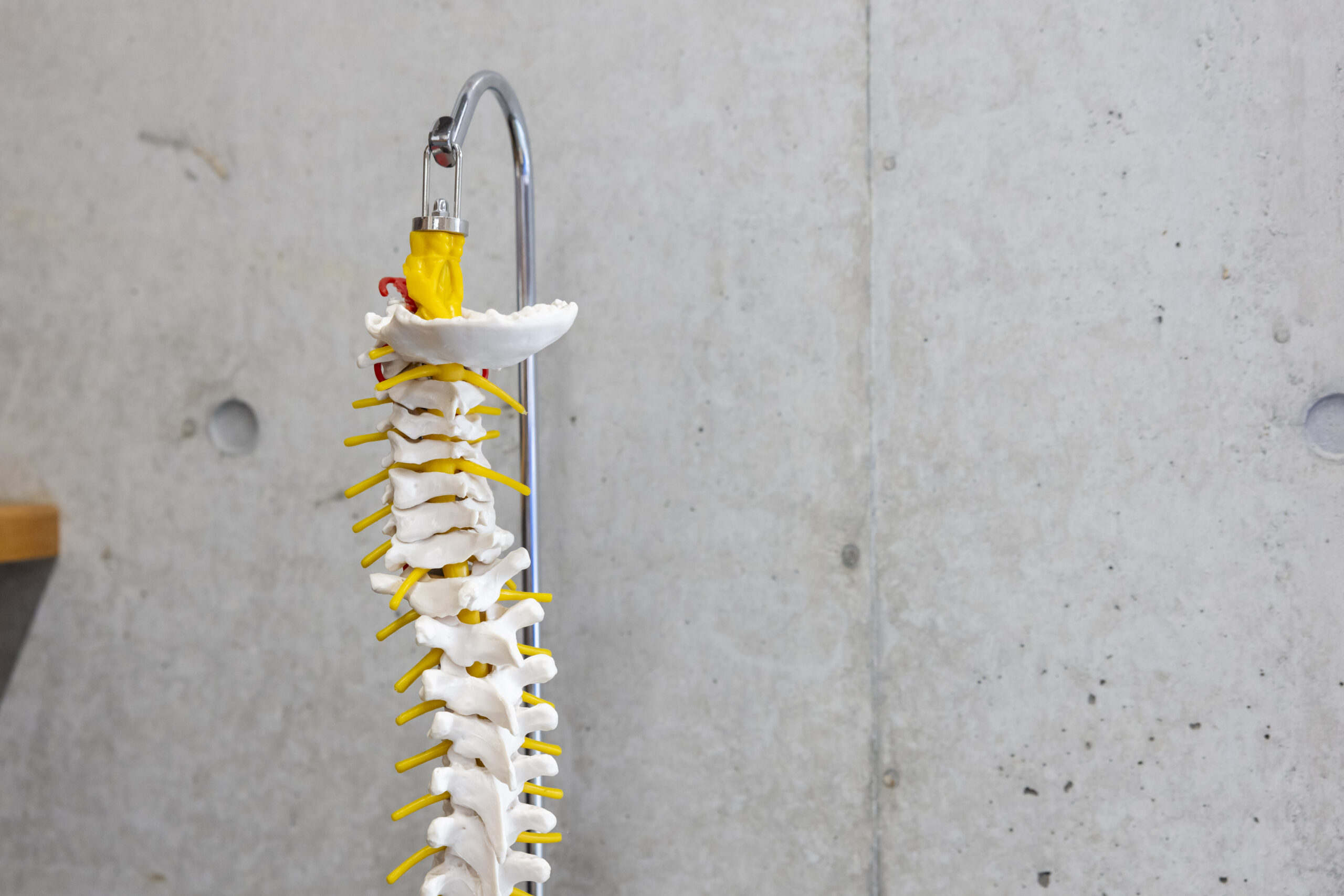 2023.11.30_photo (215)