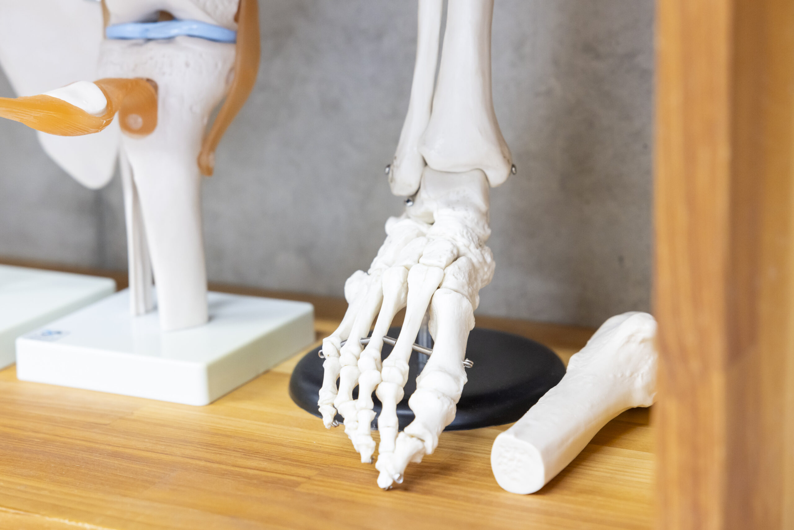 2023.11.30_photo (218)