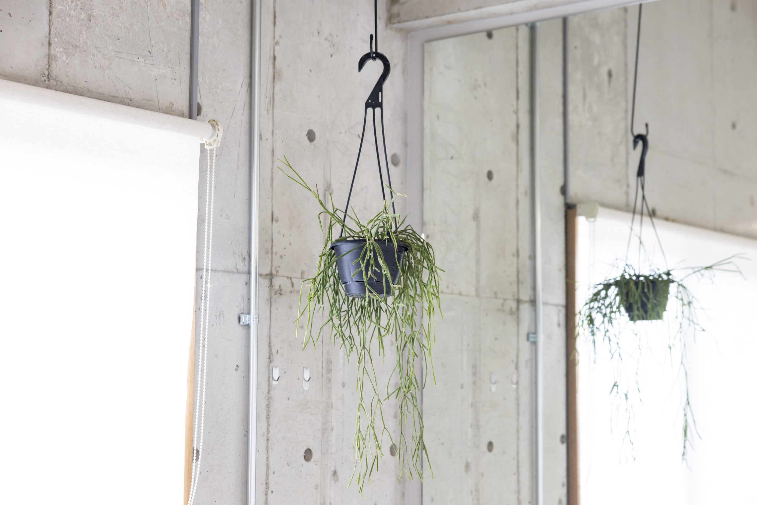 2023.11.30_photo (240)